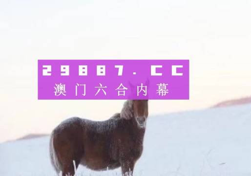 澳门一肖一码 第13页