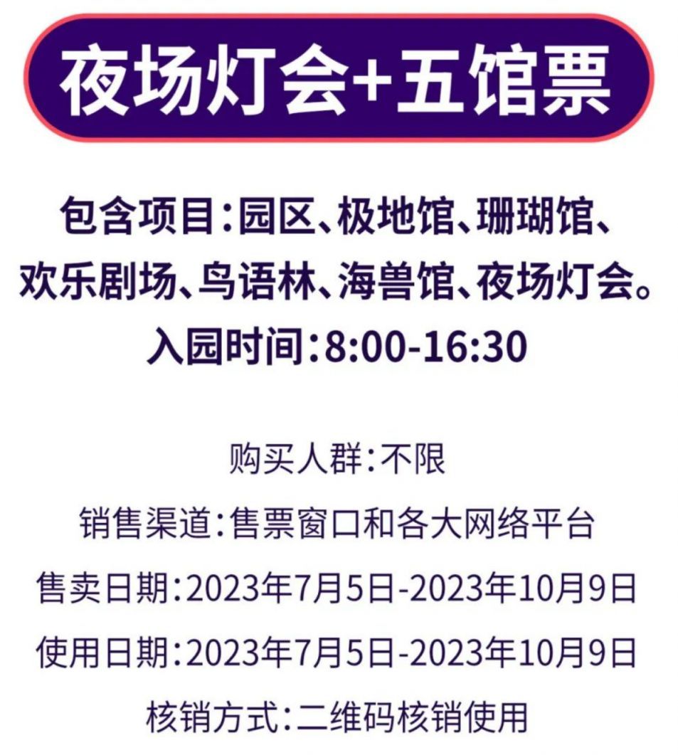 夜场最新章节及小说评价，引人入胜的夜场故事