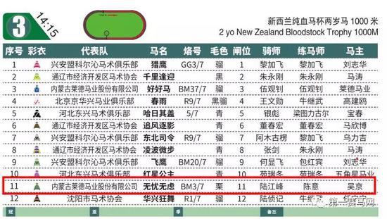 2024今晚香港开特马开奖号码解析热门预测与分析_赛马宝典123