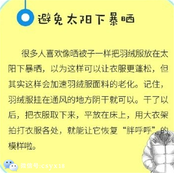 科信技术的日常趣事与情感纽带