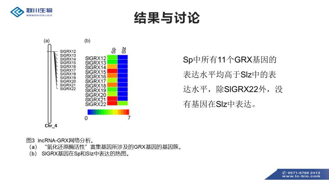 二四六香港资料精准预测，实用策略深度剖析_HVW68.280多元文化解析