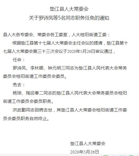 垫江县最新人事任免，多维度下的审视与探讨