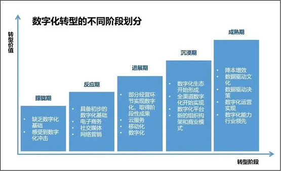 沈芳华 第3页