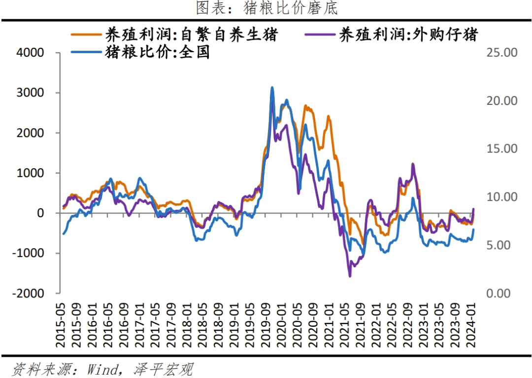 2024新澳走势图,持续改进策略_IPS94.793环境版