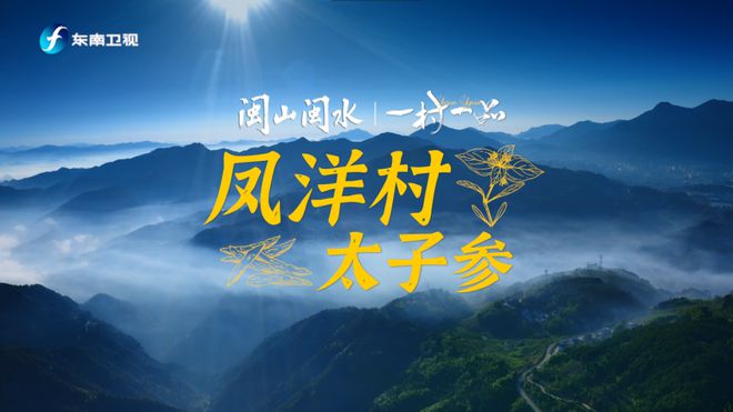 逍遥天师最新章节，探索自然美景的奇妙旅行，寻找内心的平和