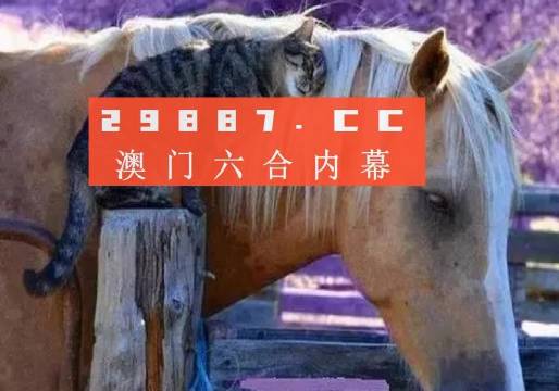 2024澳门精准正版免费大全,专业研究解释定义_app35.884