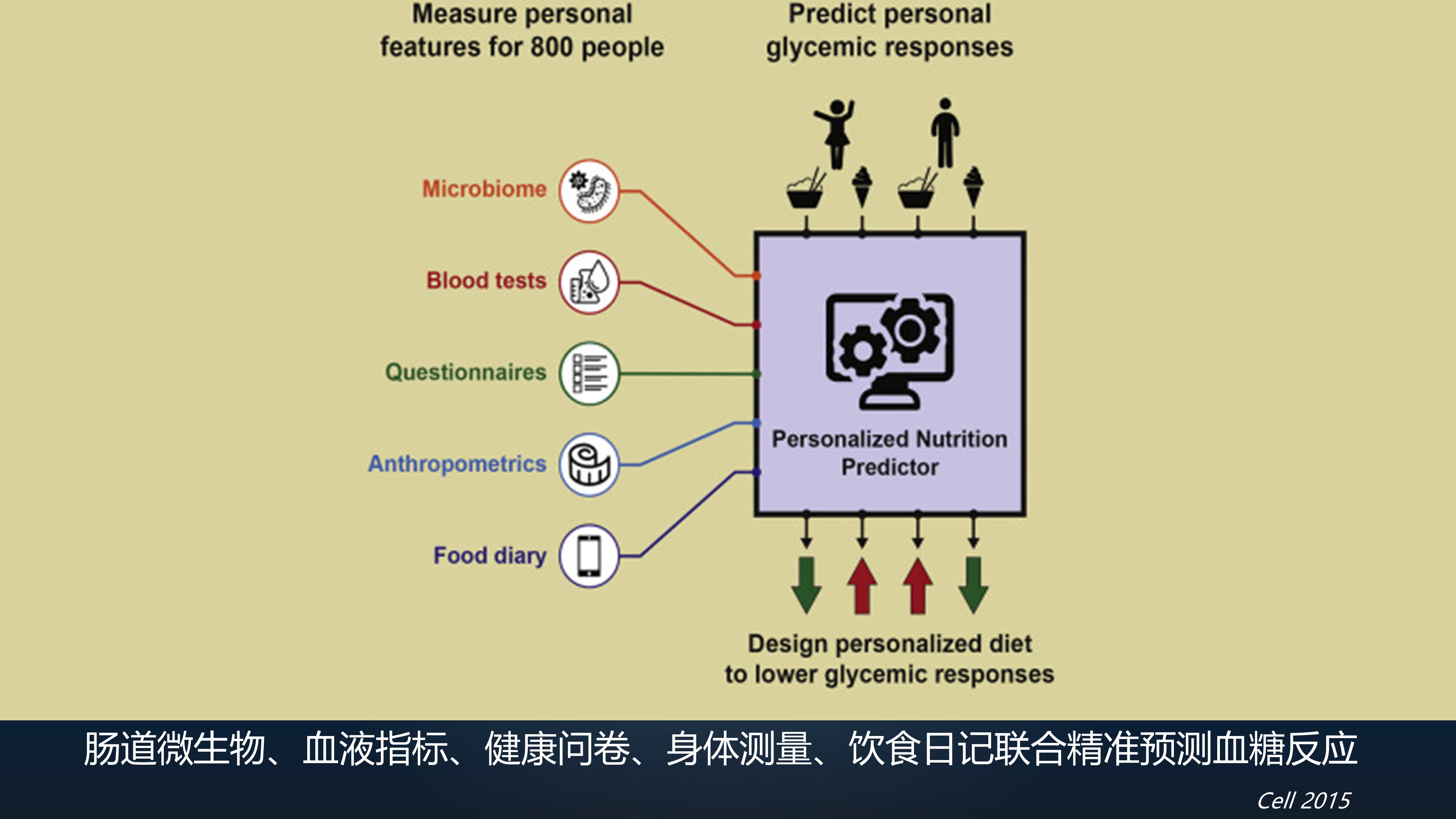 7777788888精准跑狗图,真实解析数据_N版64.128