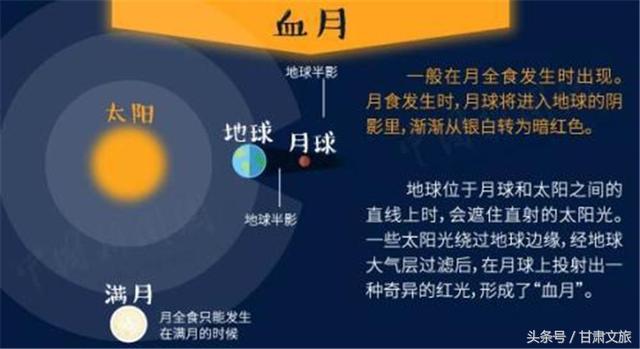 2024年澳门今晚开奖号码现场直播,平衡策略指导_PalmOS66.196
