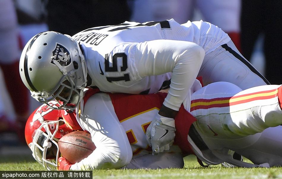 惊弓之鸟 第3页