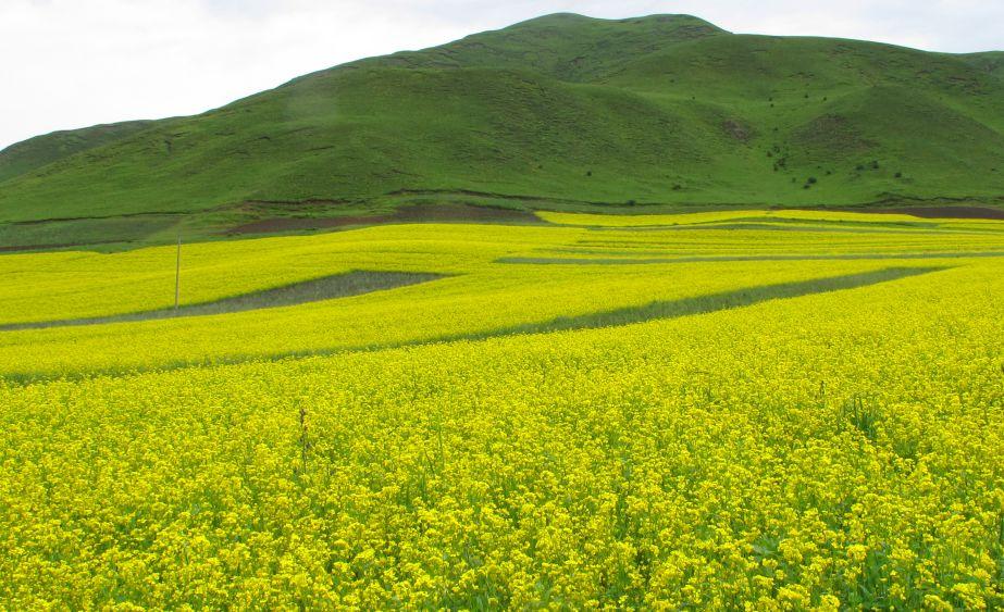 耕地补偿最新标准，变化、学习与自信的力量