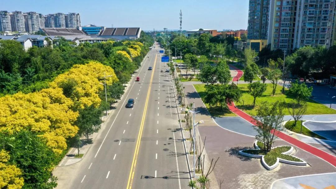 蜂拥而至 第3页