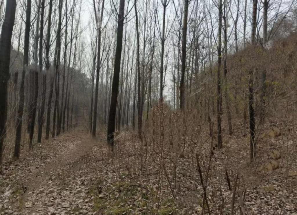 荥阳最新店面转让步骤指南(初学者/进阶用户适用)