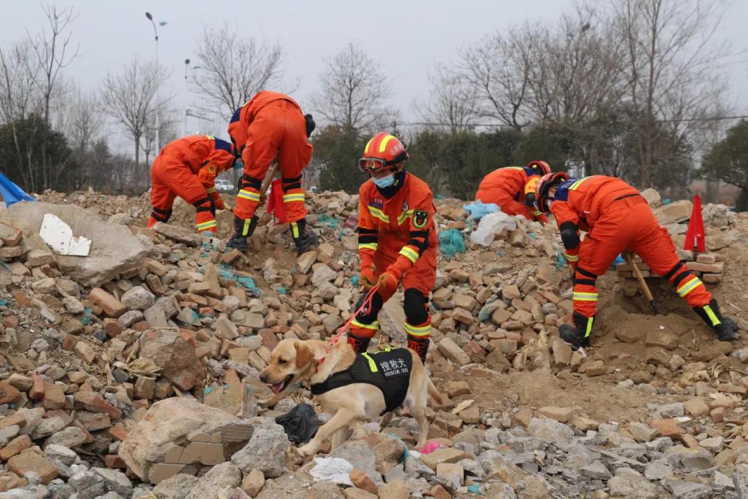 山西地震最新消息今天下午,科技守护生命的新力量