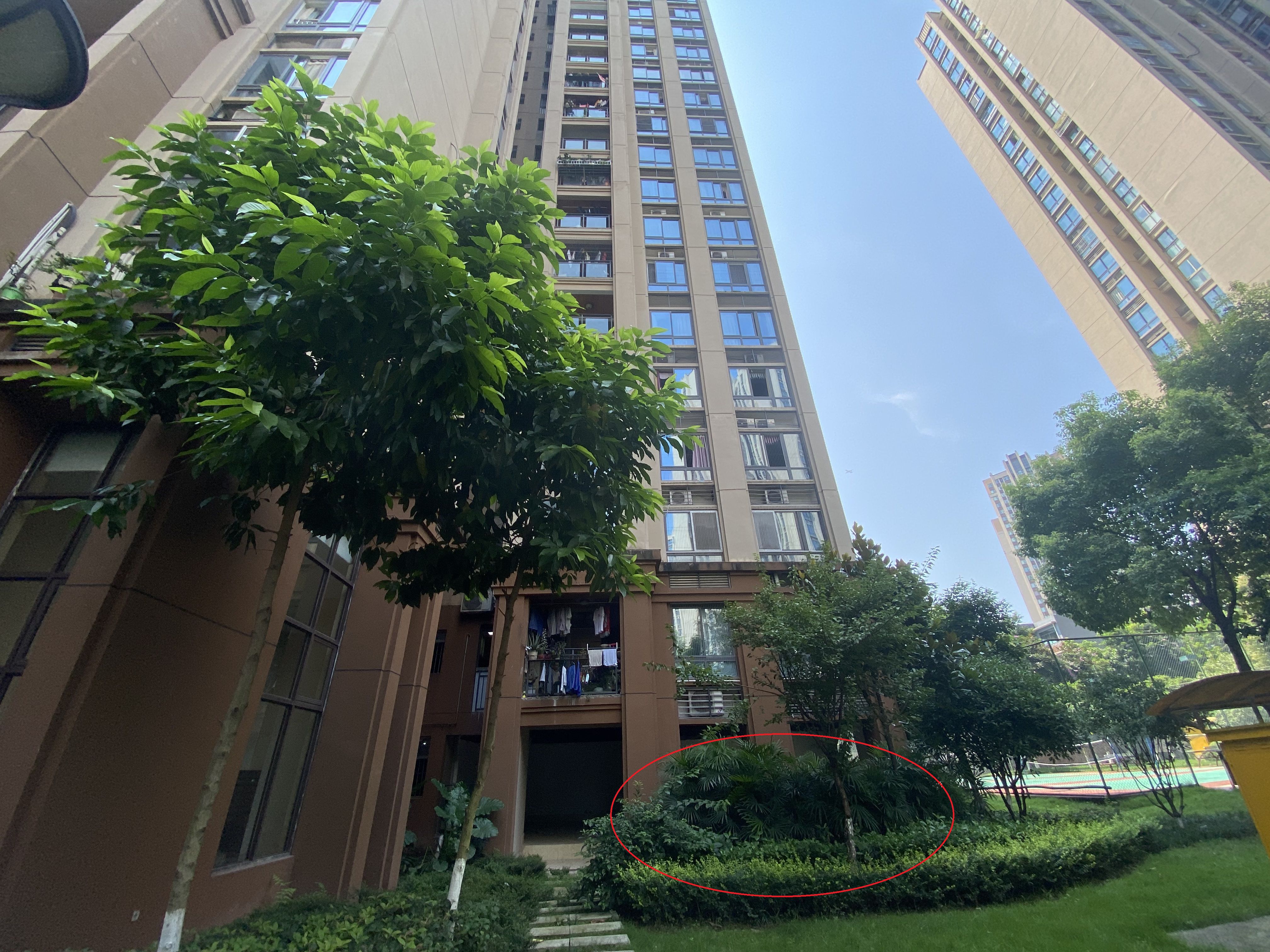 哈西华府二期最新消息——家的温馨故事