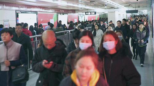 百花齐放 第2页