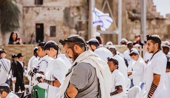 羊入虎口 第2页