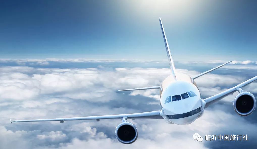 失事飞机最新消息，飞行中的奇遇与真挚情感纽带