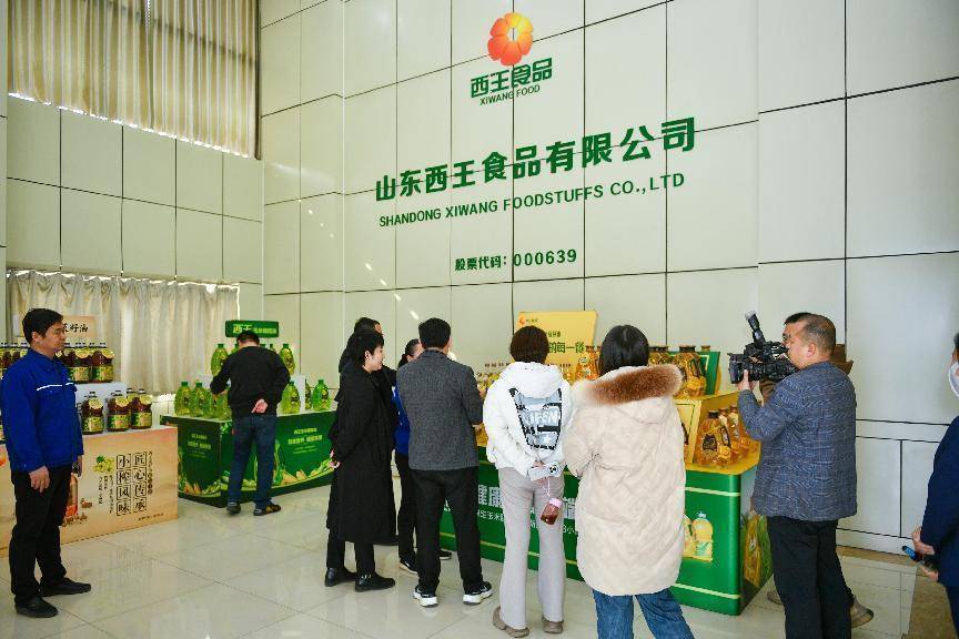 西王动态资讯，追溯其发展脉络与地位