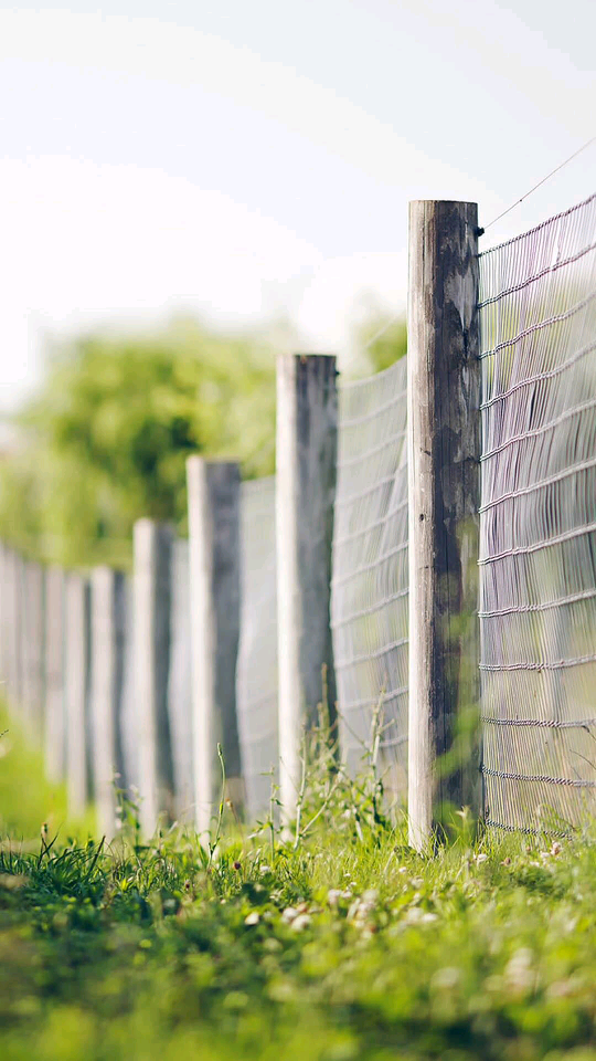 社旗最新独家庭院照片拍摄与欣赏，详细步骤指南（初学者/进阶用户适用）