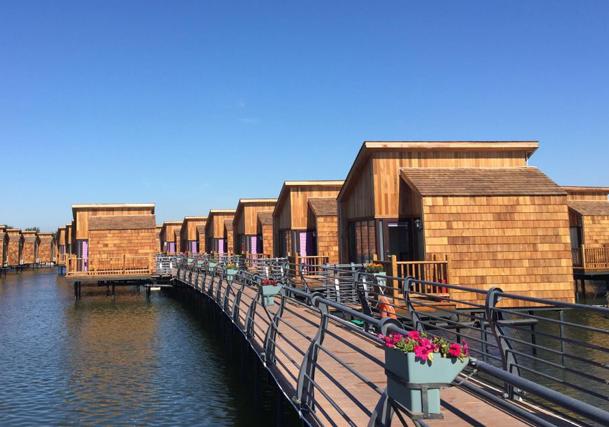 负数的股票，逆风翻盘的股市励志故事