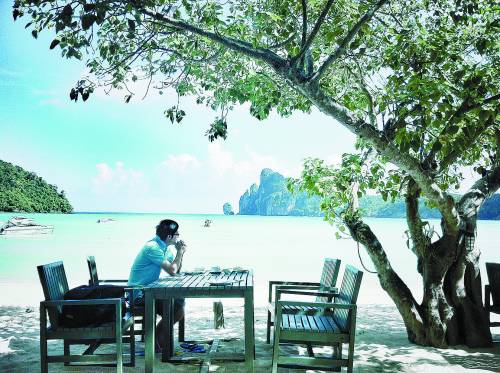 陕西西凤集团招聘信息——探寻自然美景之旅，启程心灵的平静之旅