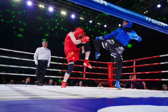 柳雷散打比赛直播视频，一场热血沸腾的武艺盛宴