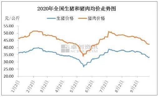 今日猪肉价格，市场分析及其影响因素