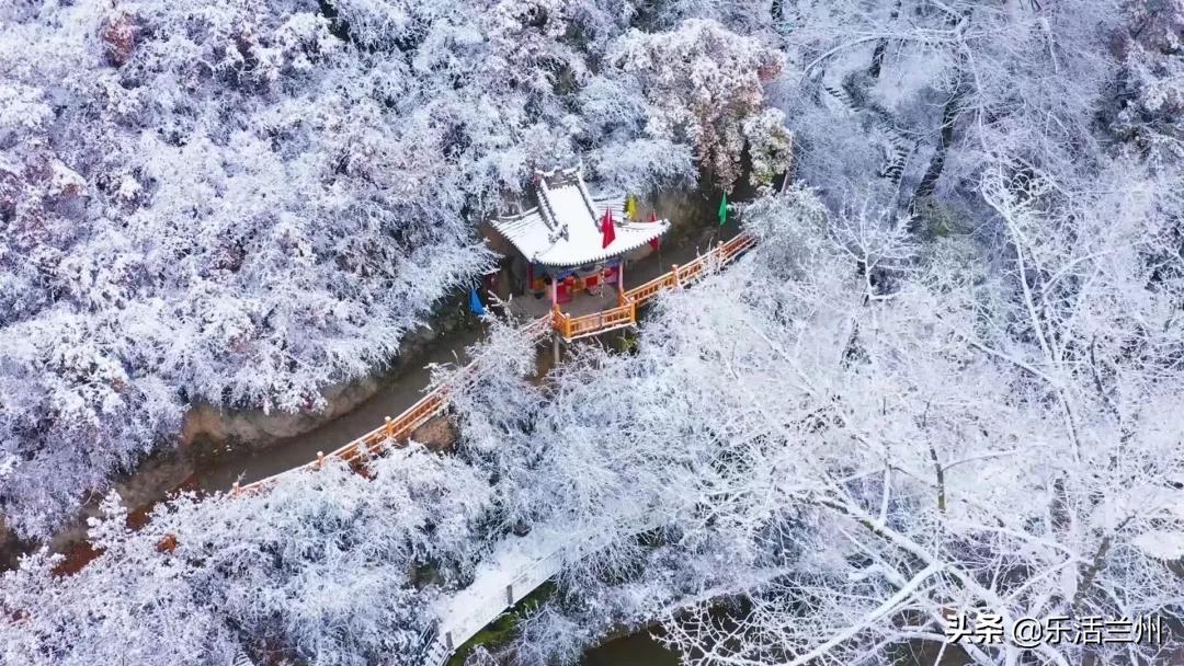 最新解封机型，科技前沿的璀璨明珠