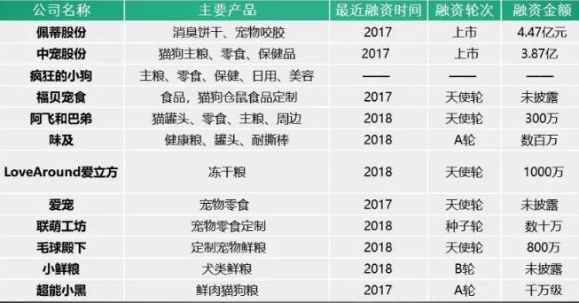 佩蒂股票，一路学习，自信闪耀