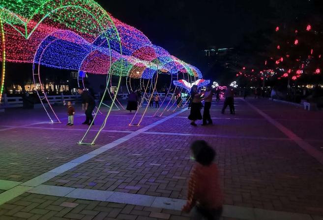 最新青娱乐资讯，城市星光下的温馨夜晚