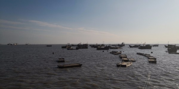 最新92油价，来一场说走就走的自然美景之旅