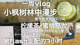 55岁招聘资讯更新——小巷深处的独特小店等你来探索！