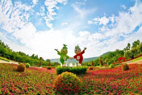 花都小道士，与自然美景的邂逅与内心的觉醒