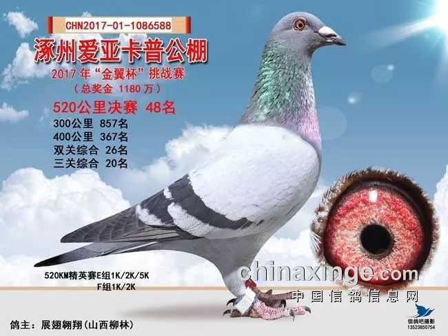 2025年3月 第11页