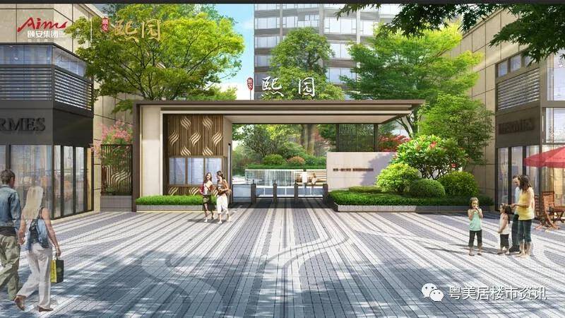 高考放榜最新，详细步骤指南