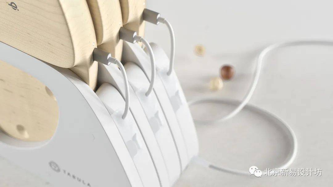 最新帝王蟹，友情与陪伴的温馨故事