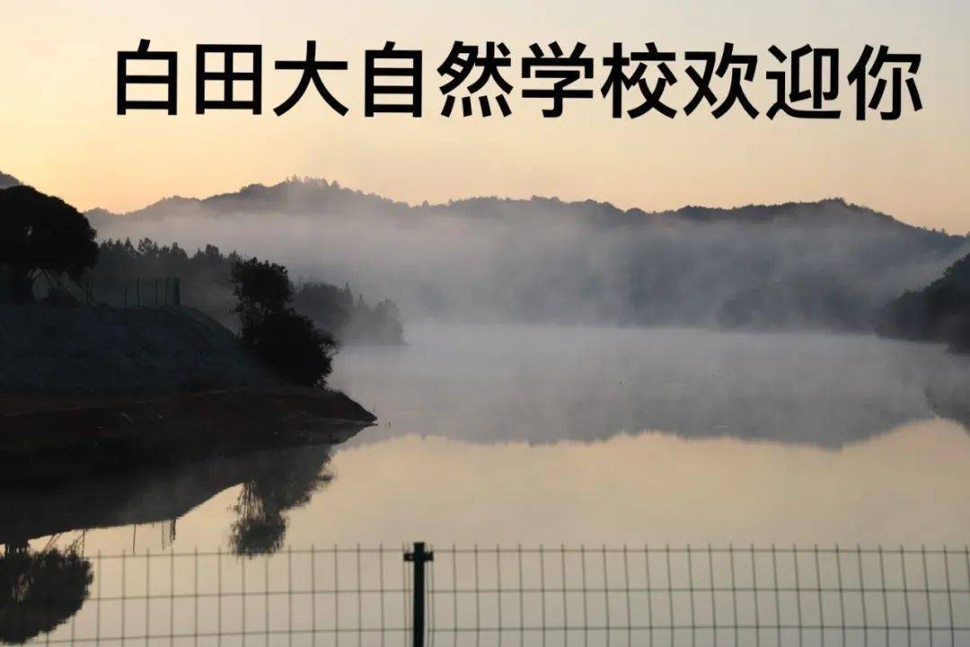 颓最新小说，自然之旅的心灵觉醒