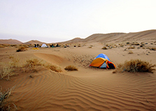 最新同步检测，一场自然美景的探索之旅