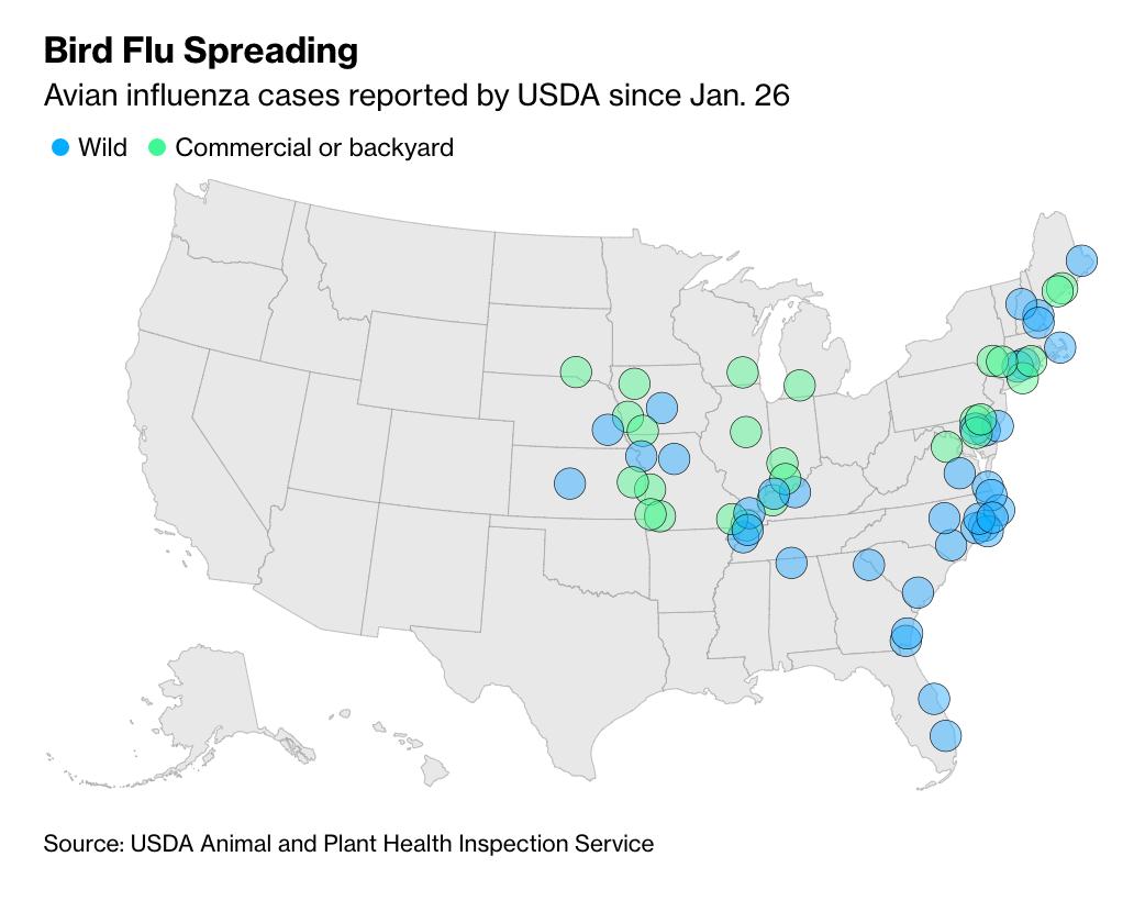 马萨诸塞的最新疫情，一场充满爱与陪伴的日常冒险
