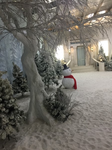 最新圣诞袜，一场自然美景的探险之旅，寻找心灵的宁静