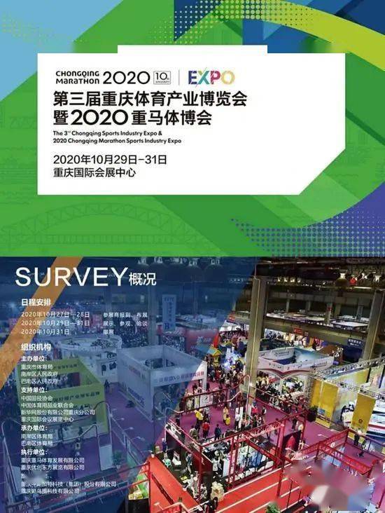 当阳疫情最新动态，防控进展与应对策略