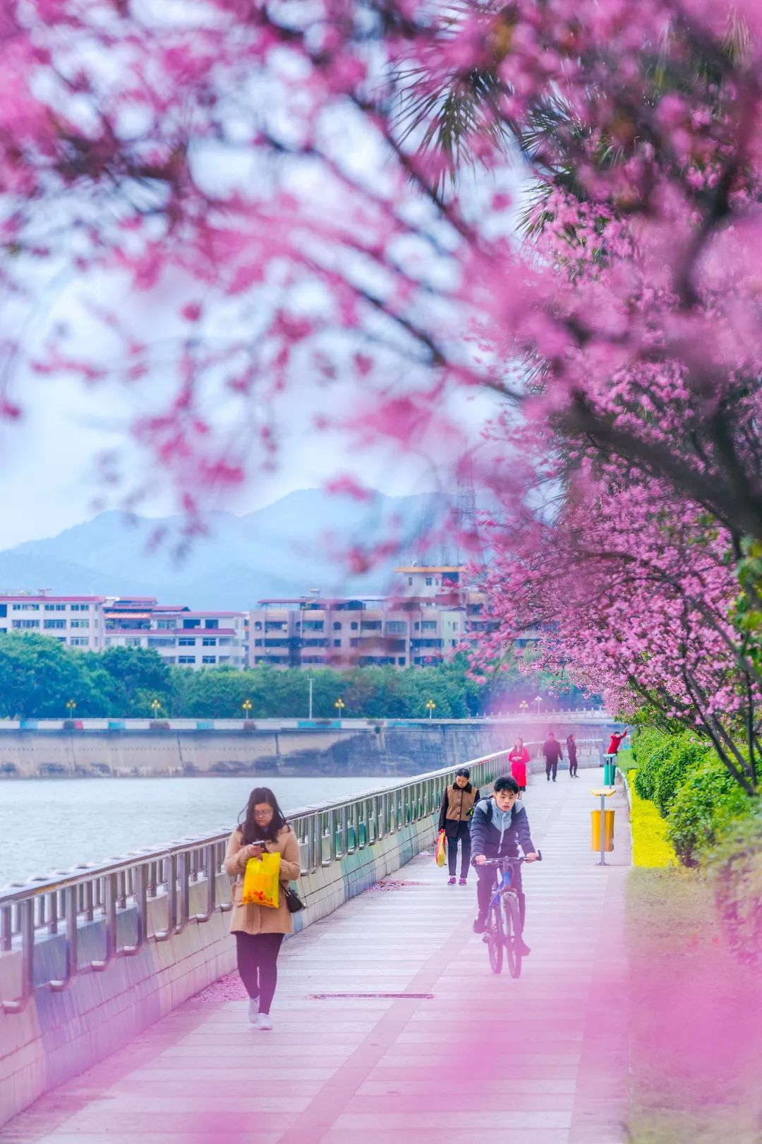 梅县疫情最新，大自然中的微笑与平静之旅