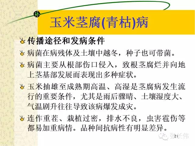 蝗虫危害最新，防治指南与应对策略