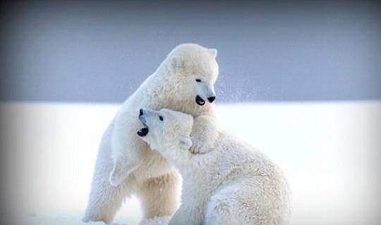 小草最新网，友情的小温馨与日常的小趣味