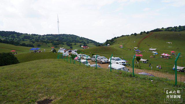 山东最新管制，一场自然美景的探索之旅